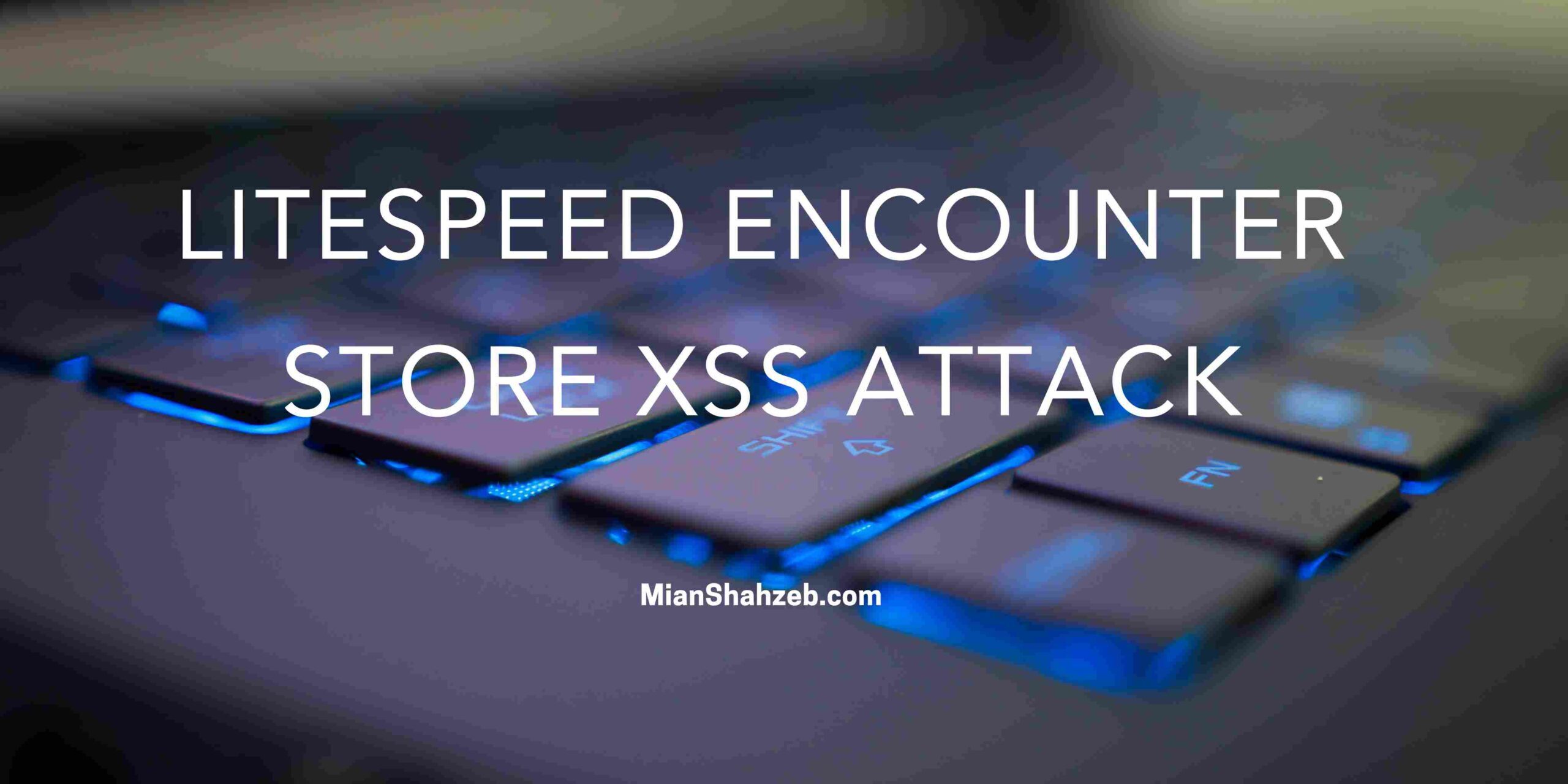 LiteSpeed encounter Store XSS attack